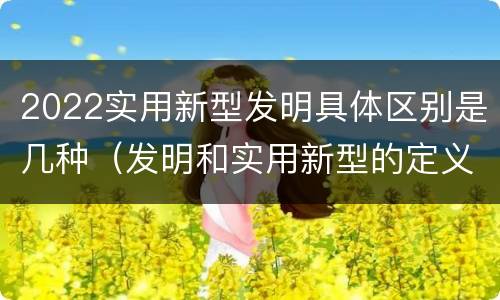 2022实用新型发明具体区别是几种（发明和实用新型的定义）