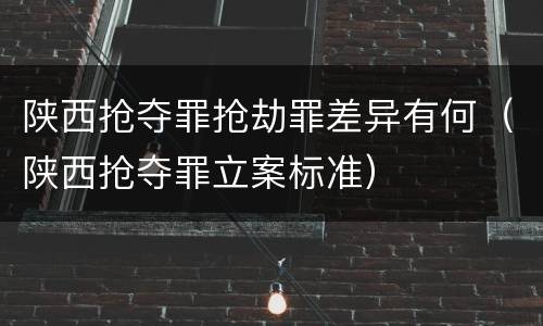 陕西抢夺罪抢劫罪差异有何（陕西抢夺罪立案标准）
