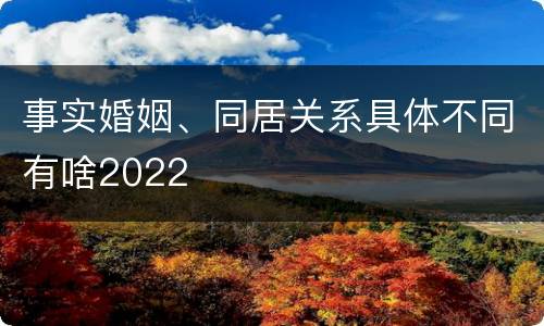 事实婚姻、同居关系具体不同有啥2022