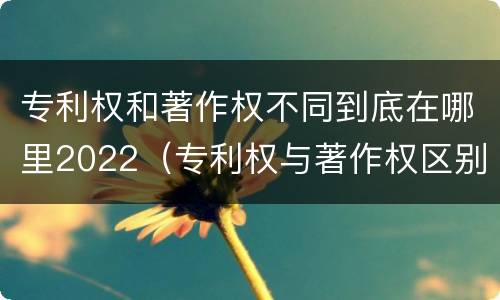 专利权和著作权不同到底在哪里2022（专利权与著作权区别）