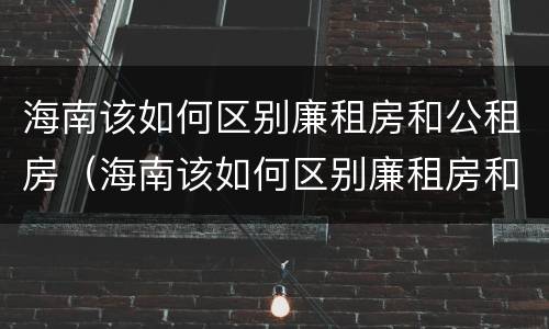 海南该如何区别廉租房和公租房（海南该如何区别廉租房和公租房呢）