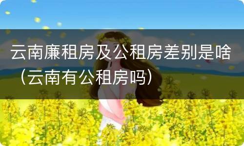 云南廉租房及公租房差别是啥（云南有公租房吗）