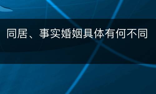 同居、事实婚姻具体有何不同