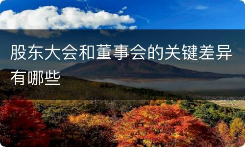 股东大会和董事会的关键差异有哪些