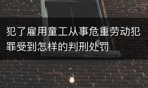 犯了雇用童工从事危重劳动犯罪受到怎样的判刑处罚