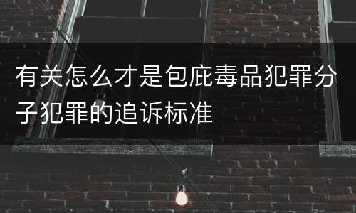 有关怎么才是包庇毒品犯罪分子犯罪的追诉标准