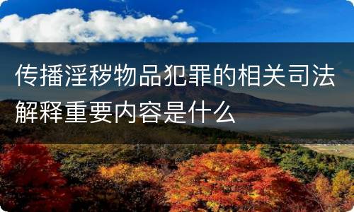 传播淫秽物品犯罪的相关司法解释重要内容是什么