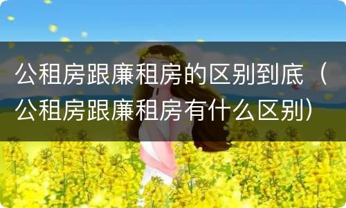 公租房跟廉租房的区别到底（公租房跟廉租房有什么区别）