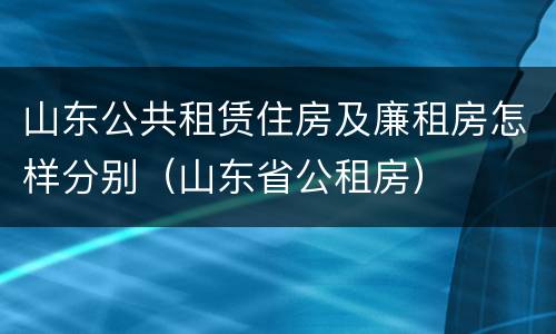 山东公共租赁住房及廉租房怎样分别（山东省公租房）