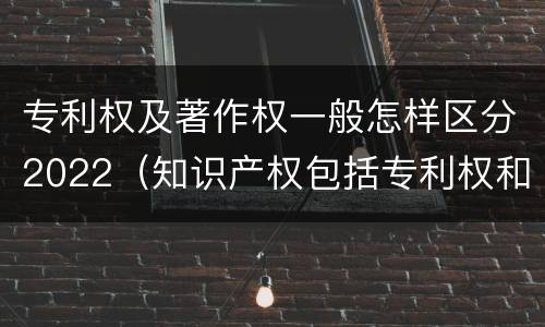 专利权及著作权一般怎样区分2022（知识产权包括专利权和著作权吗）