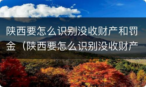 陕西要怎么识别没收财产和罚金（陕西要怎么识别没收财产和罚金的人）