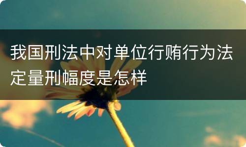 我国刑法中对单位行贿行为法定量刑幅度是怎样