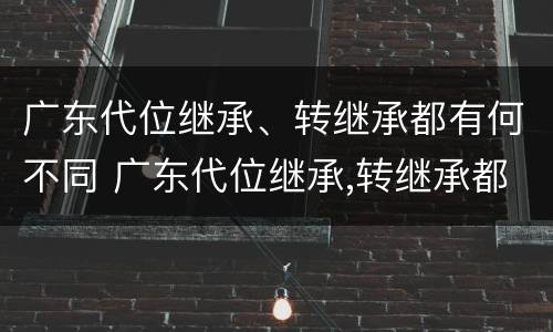 广东代位继承、转继承都有何不同 广东代位继承,转继承都有何不同