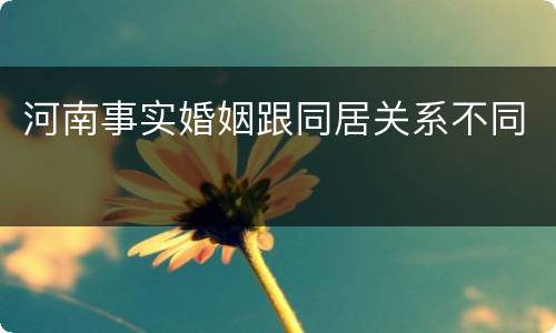河南事实婚姻跟同居关系不同