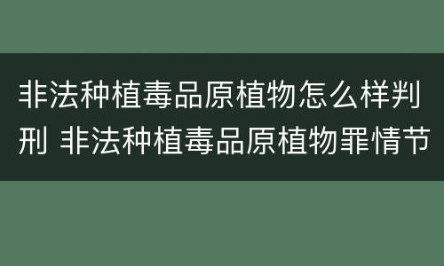 非法种植毒品原植物怎么样判刑 非法种植毒品原植物罪情节严重
