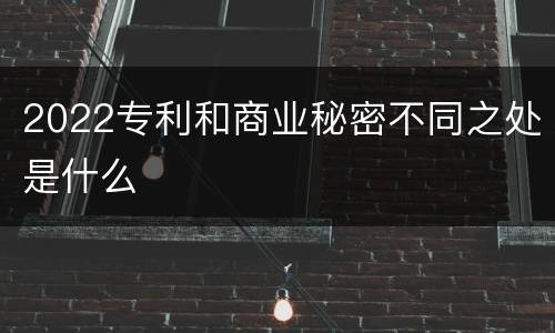 2022专利和商业秘密不同之处是什么