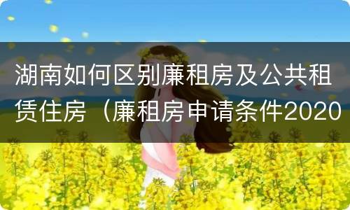 湖南如何区别廉租房及公共租赁住房（廉租房申请条件2020湖南）