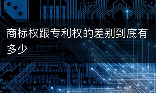 商标权跟专利权的差别到底有多少