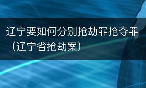 辽宁要如何分别抢劫罪抢夺罪（辽宁省抢劫案）