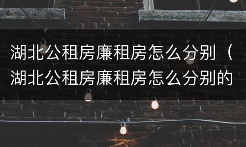 湖北公租房廉租房怎么分别（湖北公租房廉租房怎么分别的）