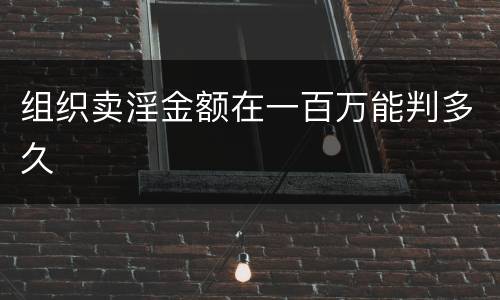 组织卖淫金额在一百万能判多久