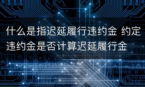 什么是指迟延履行违约金 约定违约金是否计算迟延履行金
