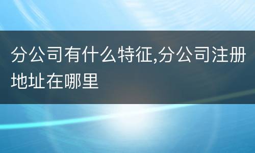 分公司有什么特征,分公司注册地址在哪里