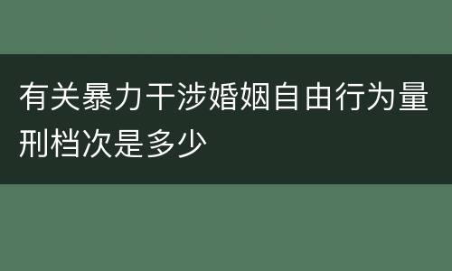 有关暴力干涉婚姻自由行为量刑档次是多少