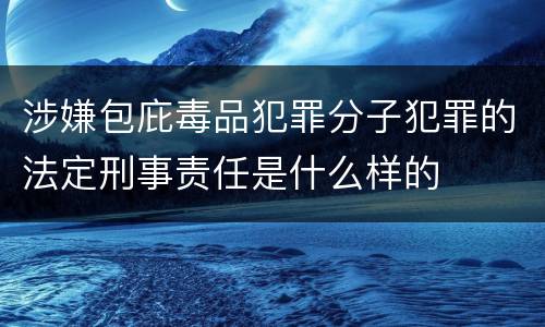 涉嫌包庇毒品犯罪分子犯罪的法定刑事责任是什么样的