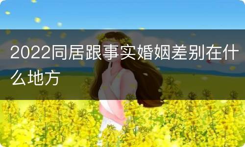 2022同居跟事实婚姻差别在什么地方