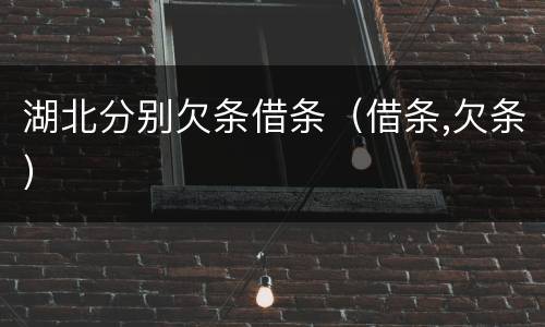 湖北分别欠条借条（借条,欠条）