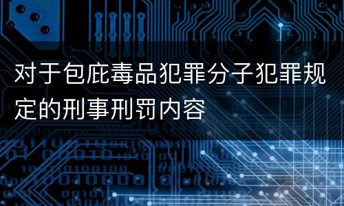 对于包庇毒品犯罪分子犯罪规定的刑事刑罚内容