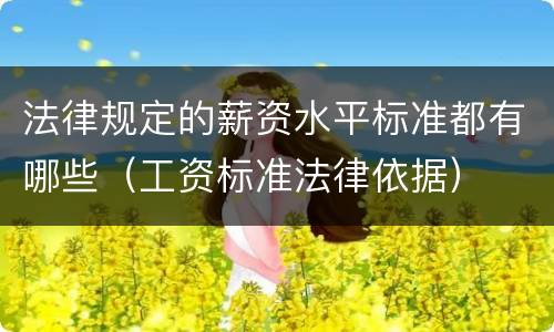 法律规定的薪资水平标准都有哪些（工资标准法律依据）