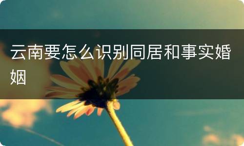 云南要怎么识别同居和事实婚姻