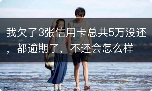我欠了3张信用卡总共5万没还，都逾期了，不还会怎么样
