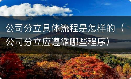 公司分立具体流程是怎样的（公司分立应遵循哪些程序）