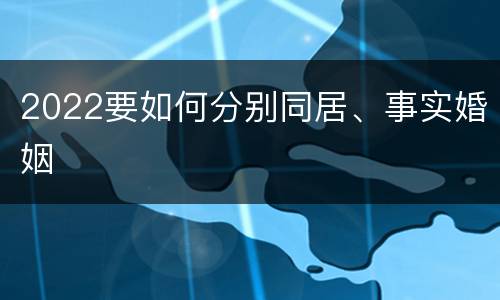 2022要如何分别同居、事实婚姻