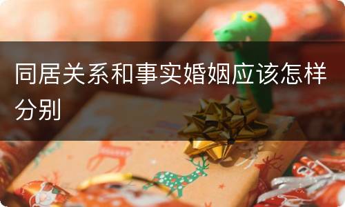 同居关系和事实婚姻应该怎样分别