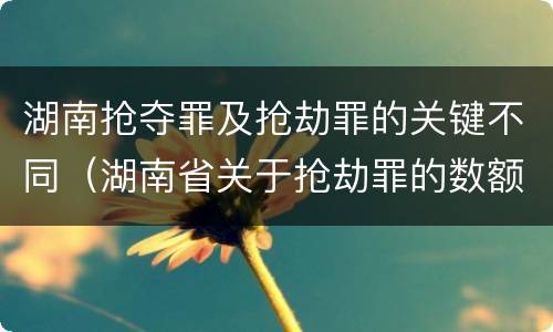 湖南抢夺罪及抢劫罪的关键不同（湖南省关于抢劫罪的数额规定）