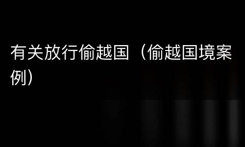 有关放行偷越国（偷越国境案例）