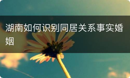 湖南如何识别同居关系事实婚姻