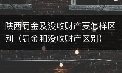 陕西罚金及没收财产要怎样区别（罚金和没收财产区别）