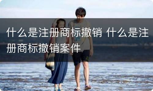 什么是注册商标撤销 什么是注册商标撤销案件