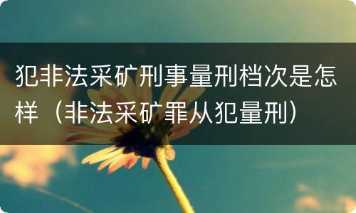 犯非法采矿刑事量刑档次是怎样（非法采矿罪从犯量刑）