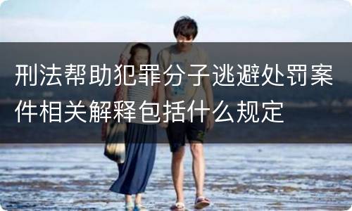 刑法帮助犯罪分子逃避处罚案件相关解释包括什么规定