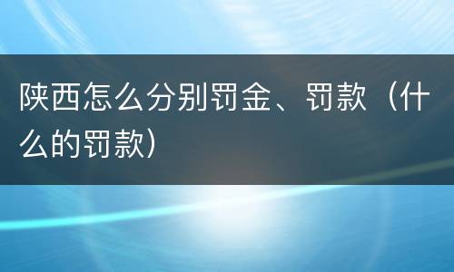 陕西怎么分别罚金、罚款（什么的罚款）