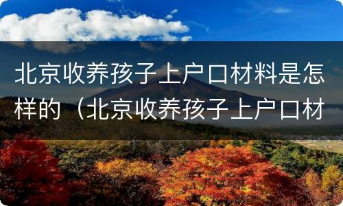 北京收养孩子上户口材料是怎样的（北京收养孩子上户口材料是怎样的要求）