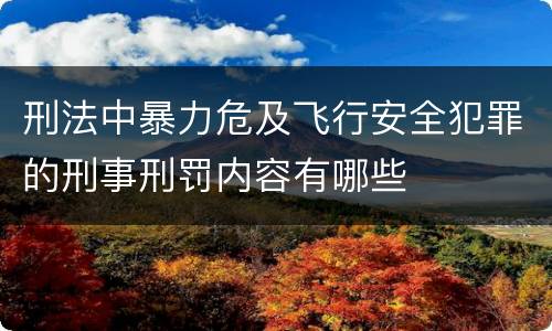 刑法中暴力危及飞行安全犯罪的刑事刑罚内容有哪些