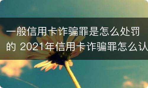 一般信用卡诈骗罪是怎么处罚的 2021年信用卡诈骗罪怎么认定