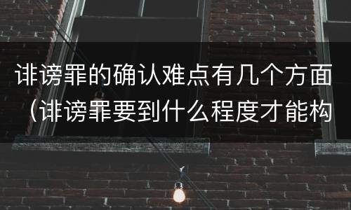 诽谤罪的确认难点有几个方面（诽谤罪要到什么程度才能构成）